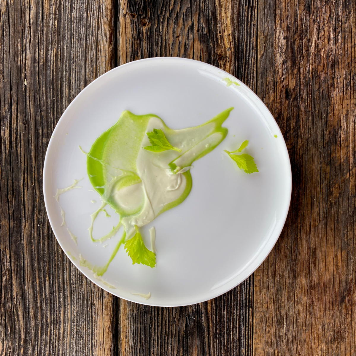 TWOCELERY PUREE Rosendale Online